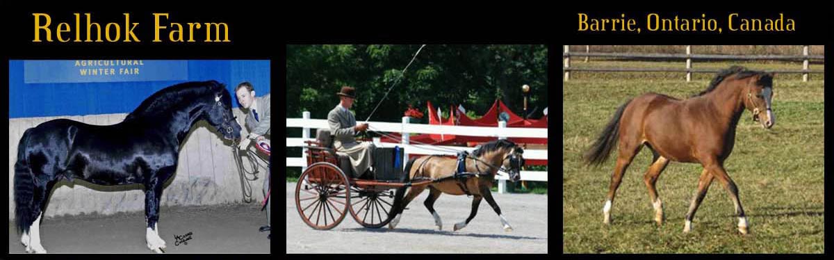 Relhok Farm Ontario Canada